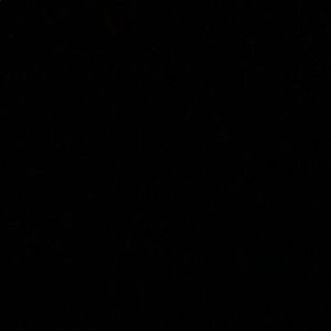 Meet your Posher, Evan